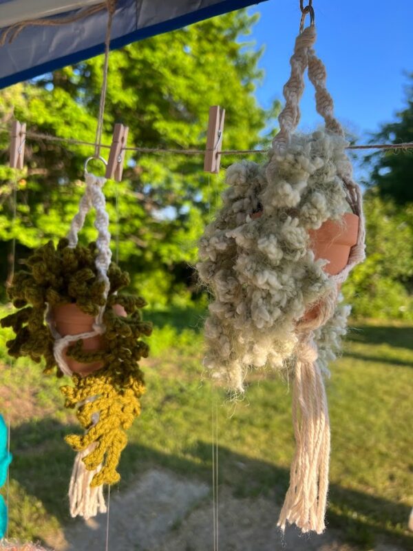 Crochet plants